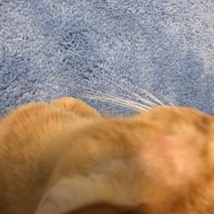 Meet your Posher, Kristin